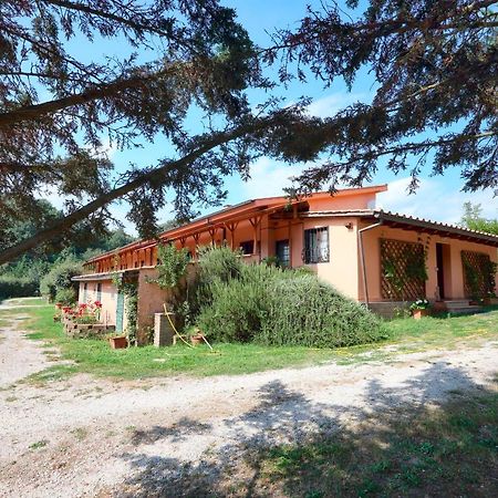 Hostel La Dimora Degli Etruschi Civitella Cesi Zewnętrze zdjęcie