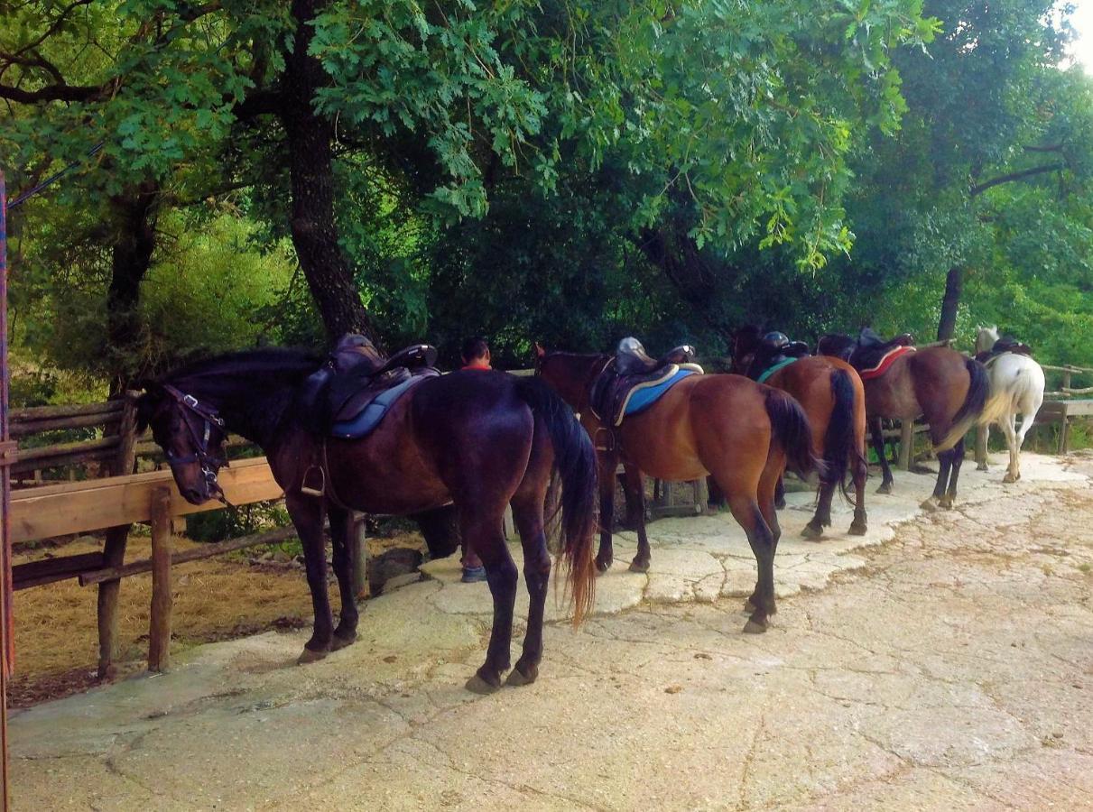Hostel La Dimora Degli Etruschi Civitella Cesi Zewnętrze zdjęcie