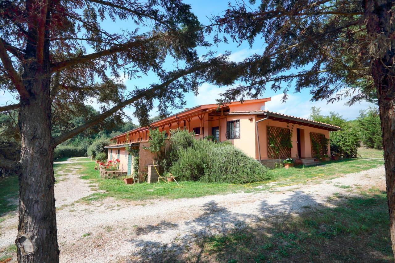 Hostel La Dimora Degli Etruschi Civitella Cesi Zewnętrze zdjęcie