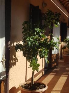Hostel La Dimora Degli Etruschi Civitella Cesi Zewnętrze zdjęcie